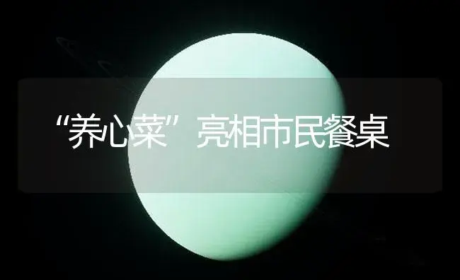 “养心菜”亮相市民餐桌 | 植物百科