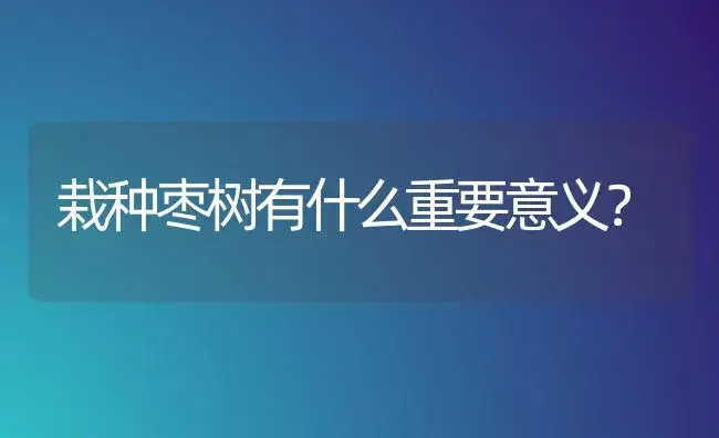 栽种枣树有什么重要意义？ | 植物知识