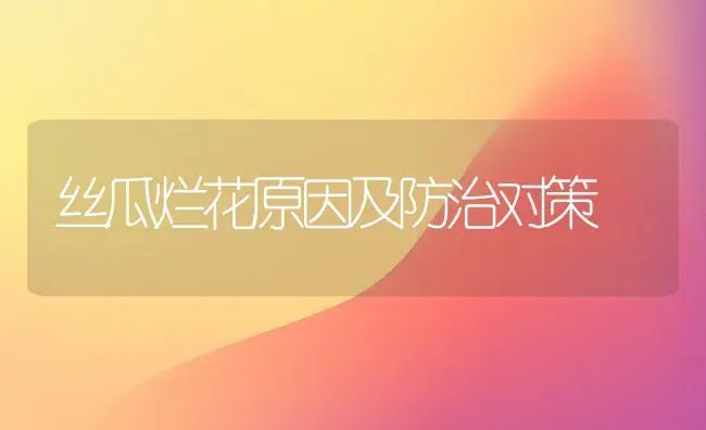 丝瓜烂花原因及防治对策 | 植物科普