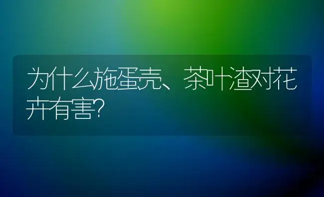 为什么施蛋壳、茶叶渣对花卉有害？ | 植物科普