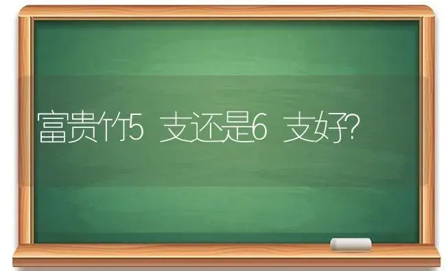 绿萝和常春藤哪个适合儿童房？ | 植物问答