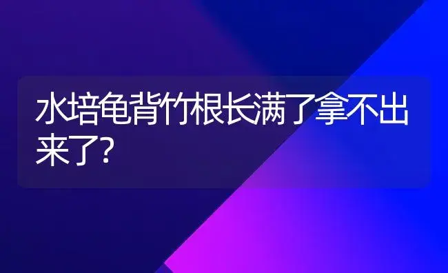 水培龟背竹根长满了拿不出来了？ | 植物问答