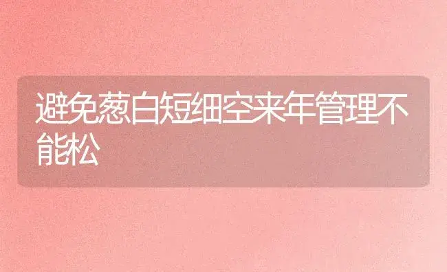 避免葱白短细空来年管理不能松 | 植物百科