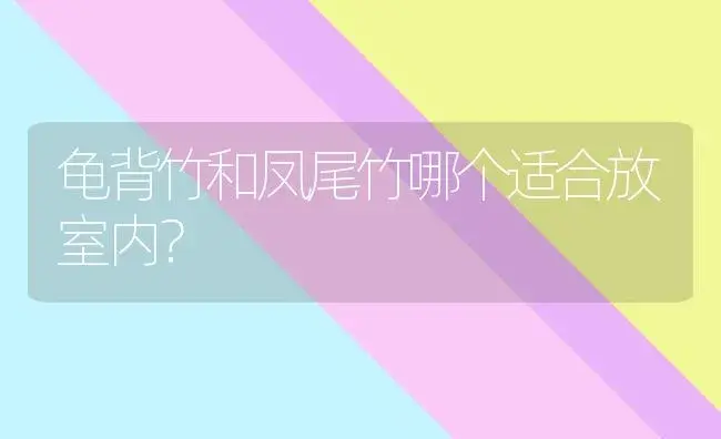 龟背竹和凤尾竹哪个适合放室内？ | 植物问答