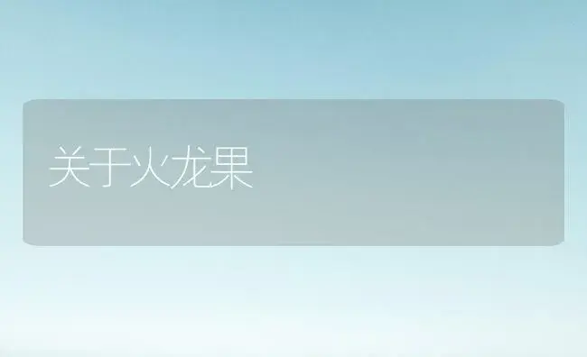 关于火龙果 | 植物科普