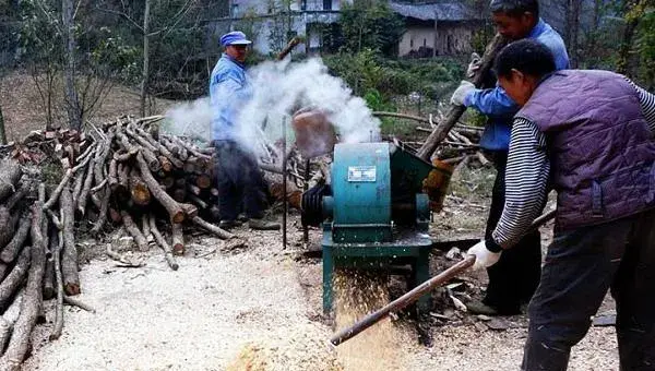 香菇的种植方法及原料