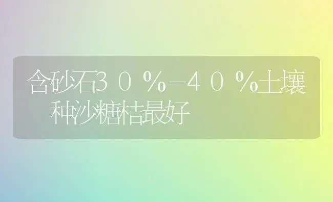 含砂石30％－40％土壤 种沙糖桔最好 | 植物科普