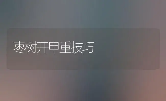 枣树开甲重技巧 | 植物科普