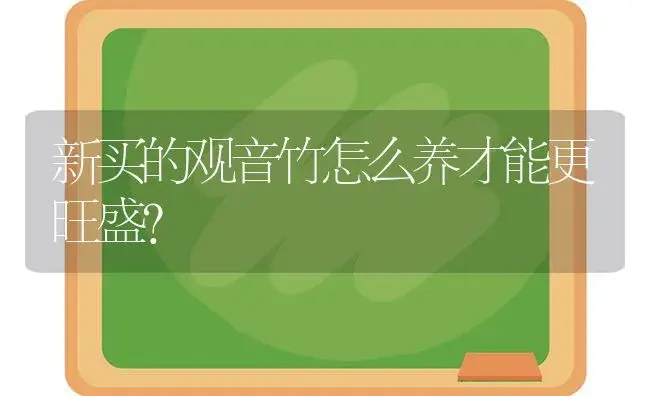 新买的观音竹怎么养才能更旺盛？ | 植物问答