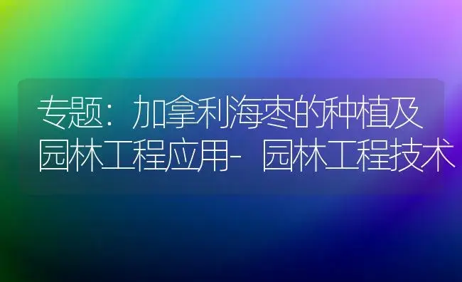 专题：加拿利海枣的种植及园林工程应用-园林工程技术 | 植物知识