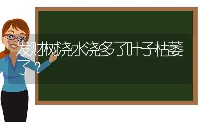 发财树浇水浇多了叶子枯萎了？ | 植物问答