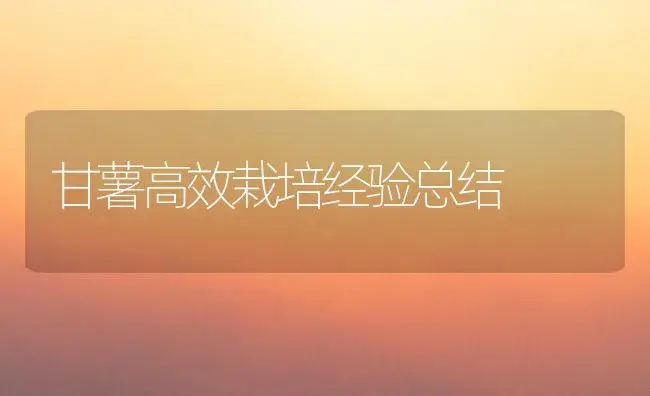 甘薯高效栽培经验总结 | 植物科普