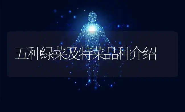 大棚秋西瓜栽培技术 | 植物科普