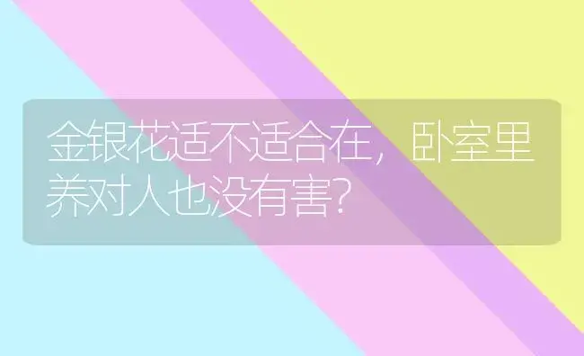 油画婚礼吊兰花语及寓意？ | 植物问答