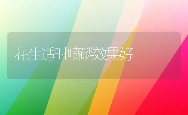 花生适时喷磷效果好 | 植物科普