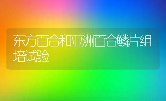 东方百合和亚洲百合鳞片组培试验 | 植物知识