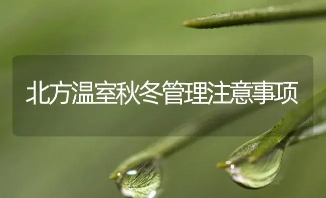 北方温室秋冬管理注意事项 | 植物知识