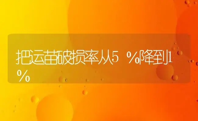 把运苗破损率从5％降到1％ | 植物科普