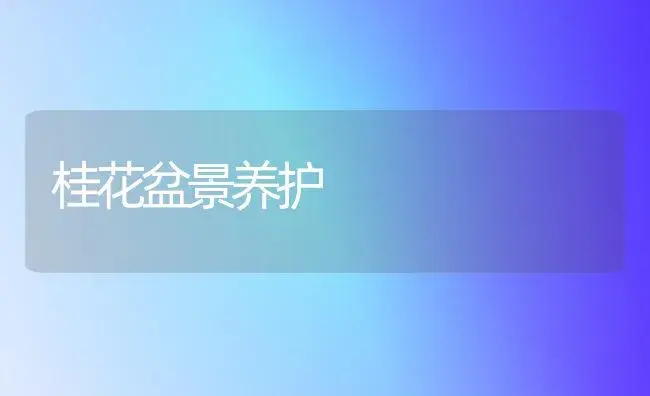 桂花盆景养护 | 植物知识