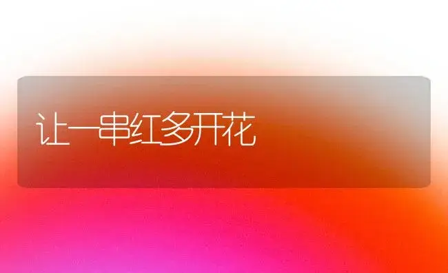 让一串红多开花 | 植物知识