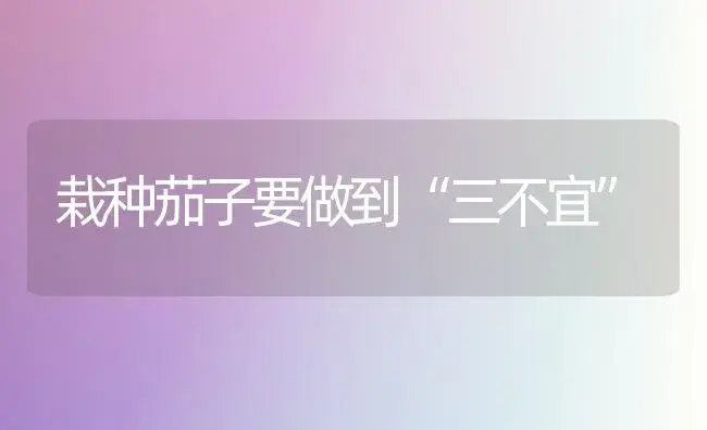 栽种茄子要做到“三不宜” | 植物科普