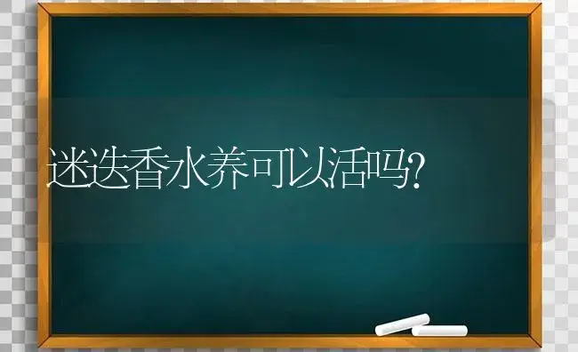 迷迭香水养可以活吗？ | 植物问答