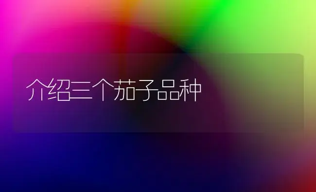 介绍三个茄子品种 | 植物科普