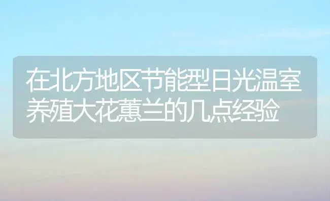 在北方地区节能型日光温室养殖大花蕙兰的几点经验 | 植物知识