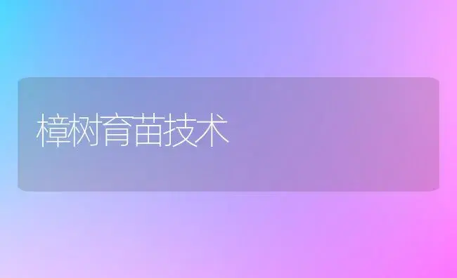 樟树育苗技术 | 植物科普