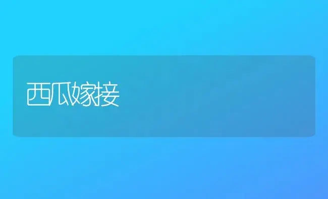 西瓜嫁接 | 植物百科