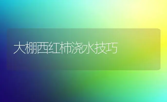 大棚西红柿浇水技巧 | 植物科普