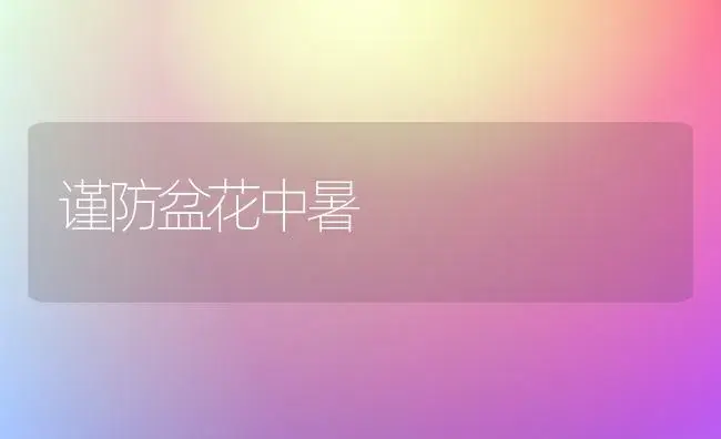 谨防盆花中暑 | 植物科普
