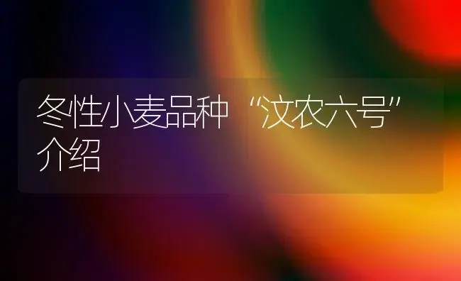 冬性小麦品种“汶农六号”介绍 | 植物科普