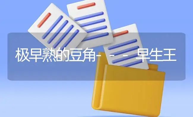 极早熟的豆角---早生王 | 植物百科
