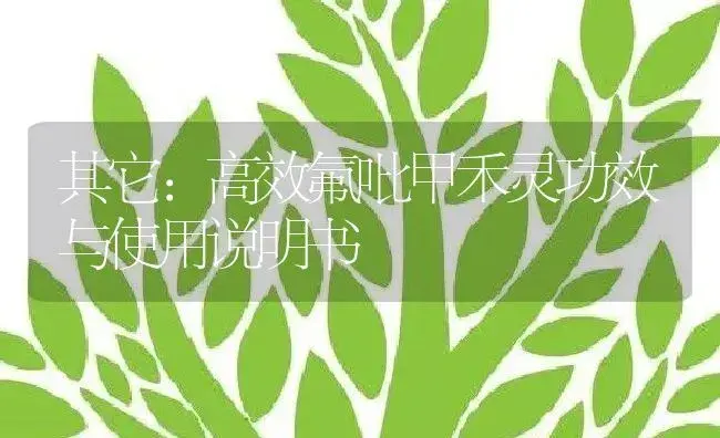 其它：高效氟吡甲禾灵 | 适用防治对象及农作物使用方法说明书 | 植物资料