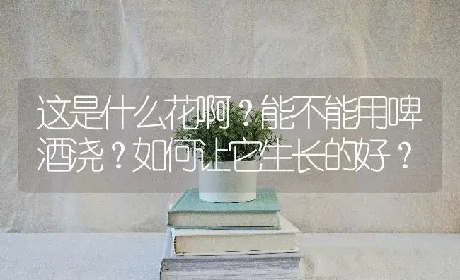 这是什么花啊？能不能用啤酒浇？如何让它生长的好？ | 植物问答