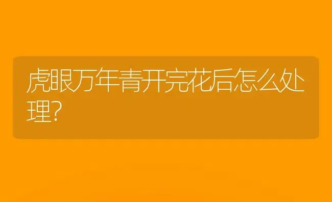 虎眼万年青开完花后怎么处理？ | 植物问答