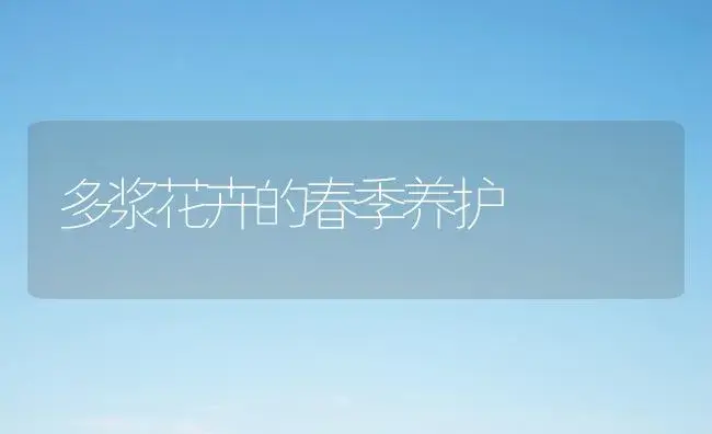 多浆花卉的春季养护 | 植物科普