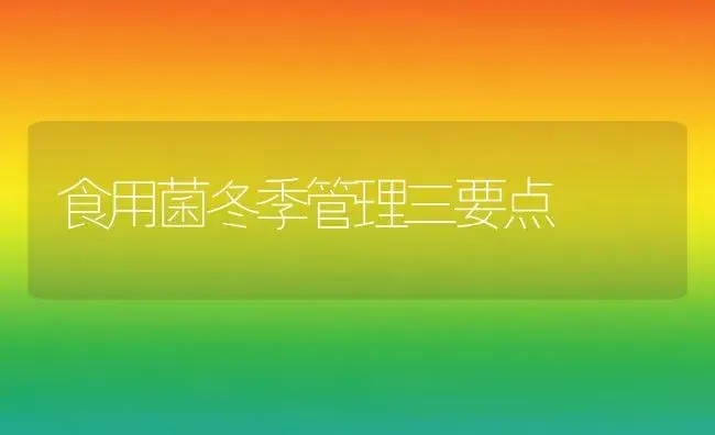 食用菌冬季管理三要点 | 植物科普