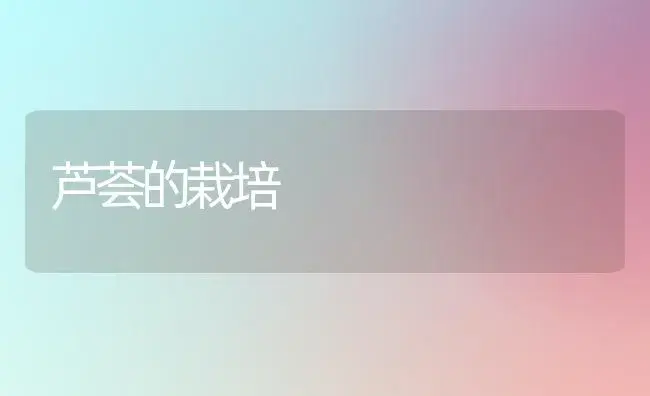 芦荟的栽培 | 植物知识