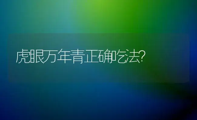 虎眼万年青正确吃法？ | 植物问答