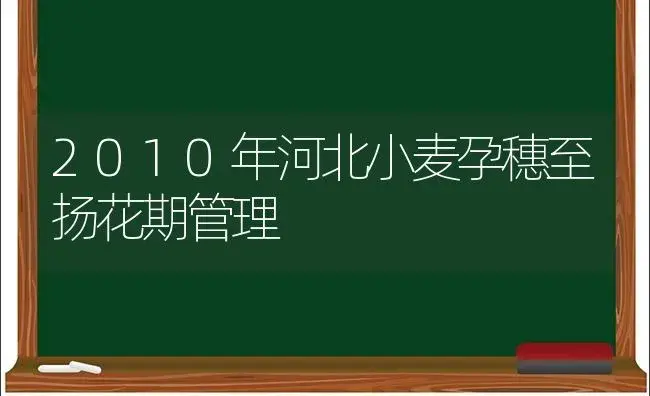 2010年河北小麦孕穗至扬花期管理 | 植物科普