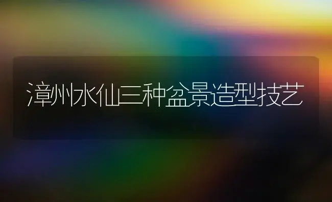 漳州水仙三种盆景造型技艺 | 植物知识