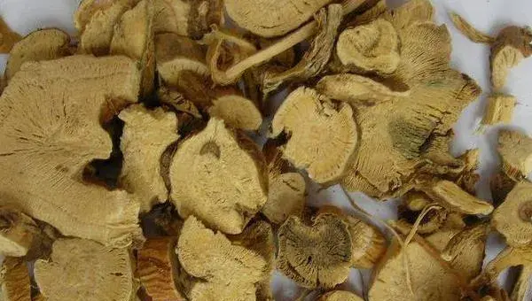 2018种苦参赚钱吗？苦参种植的利润与投资成本及前景预测
