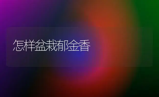 大花惠兰养护技术 | 植物知识