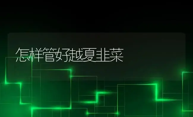 怎样管好越夏韭菜 | 植物科普