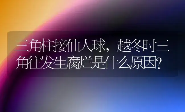 三角柱接仙人球，越冬时三角往发生腐烂是什么原因？ | 植物知识