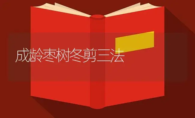 成龄枣树冬剪三法 | 植物知识
