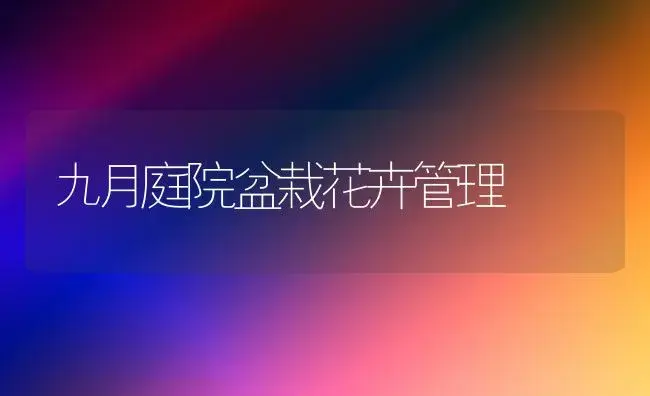 无土栽培花卉营养液配方 | 植物科普