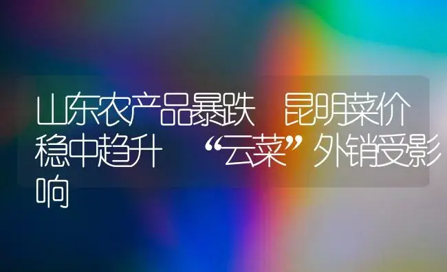 山东农产品暴跌 昆明菜价稳中趋升 “云菜”外销受影响 | 植物科普